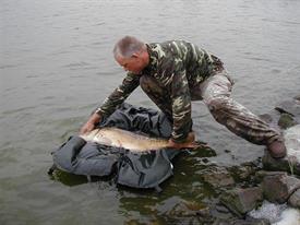 V240703 h (Large) (Medium)