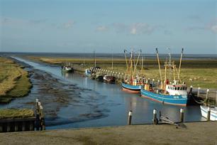 Van aardgas naar vismigratie