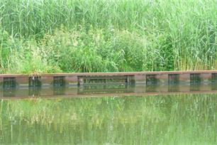 Van scheepvaartkanaal naar visbiotoop