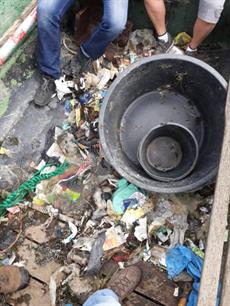 Van trekvisonderzoek tot plastic-studie