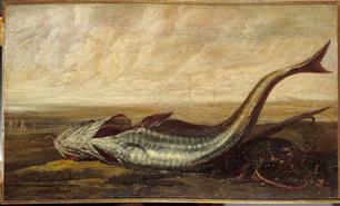 Van wie is de vis? Over ruzies, twisten en oorlogen