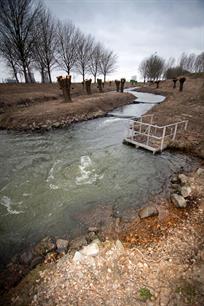 Verantwoord visonderzoek