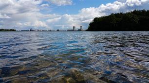 Verhalen uit een zandwinput