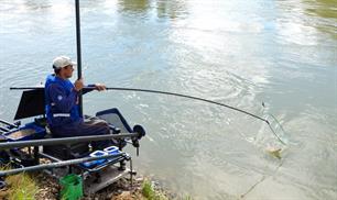 VIDEO: Vissen met vers de vase!