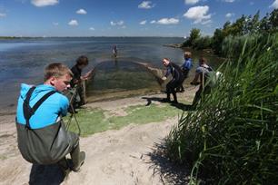 Videoserie over visstandonderzoek