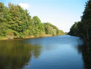 Vis in het waterbeheer van Flevoland ; 'een kwestie van gewenning'