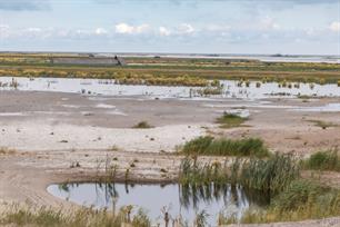 Vis rond de Marker Wadden