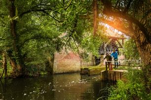 VIS TV 2021 bijna van start (video)