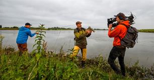 Vis TV kribhoppen langs de Lek gemist? (video)