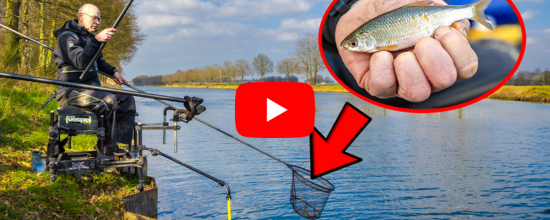 VISblad TV – vaste hengel basics