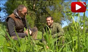 Visblad TV - bloopers (video)