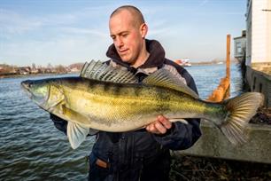 Visblad TV - Buffelen in en om Dordt
