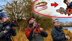 VISblad TV: focus op finesse (video)