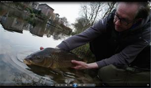 Visblad TV: modern witvissen op karper (video)