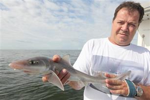 Visblad TV: naar de haaien! (video)