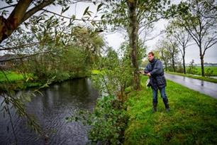 Visblad TV - simpel en succesvol snoeken