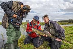 Visblad TV: snoeken houden van streamers! (video)