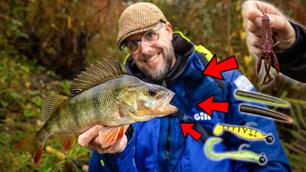 VISblad TV: stilstand is vooruitgang (video)