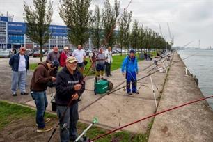 Visblad TV - tongvissen in hartje Rotterdam