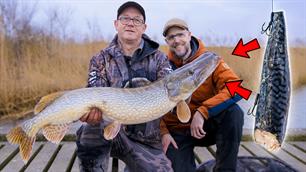 VISblad TV: uitgekiend snoeken met dood aas