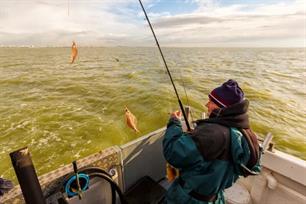Visblad TV - uitwaaien op de Westerschelde