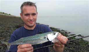 Visblad TV - ultralight makrelen (video)