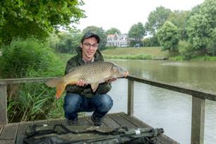Visblad TV: veste Vissen