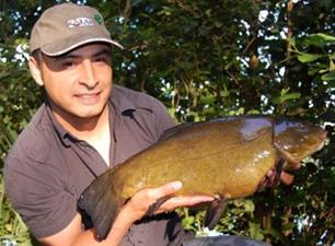 Visblad TV - Vissen op zeelt (video)