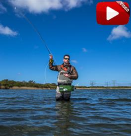 VISblad TV: vliegvissen op Oostvoorne