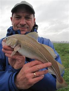 Visblad TV: wijtingvissen in het Calandkanaal (video)