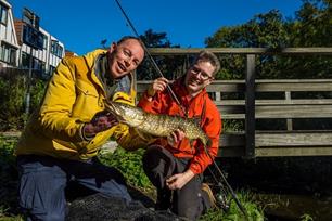 VISblad TV: woonwijksnoeken met dood aas (video)