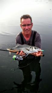 Visblad TV: zeebaars aan de oppervlakte