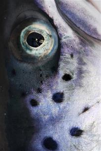 Visionair 15 maart 2010