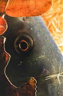 Visionair 16 juli 2010