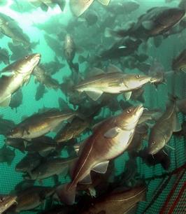 Visionair 17 oktober 2010