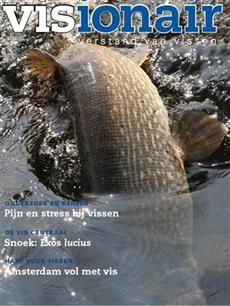 Visionair 19 maart 2011