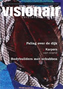 Visionair 28 juni 2013