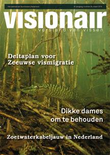 Visionair 35 maart 2015
