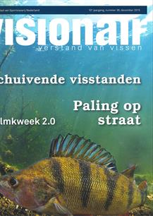 Visionair 38 december 2015