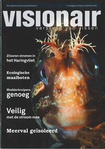 Visionair 42 december 2016