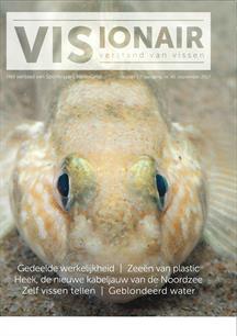 Visionair 45 september 2017