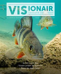 Visionair 51 maart 2019