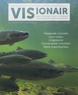 Visionair 55 verschenen