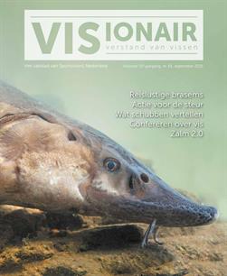 Visionair 61, september 2021