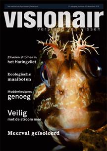 Visionair no. 42 is verschenen
