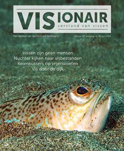 Visionair no. 56 verschenen