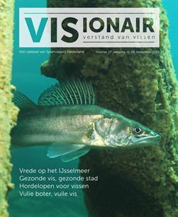 VISionair no. 69 is uit