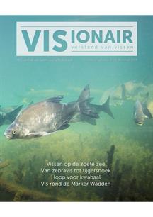 Visioniar no. 54 is uit!