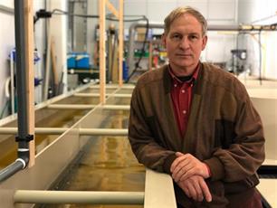 Viskweek maar dan anders