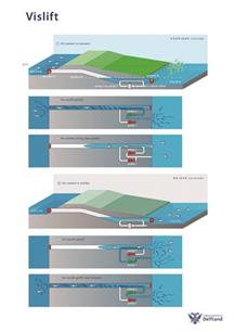Vismigratie Delfland in de lift
